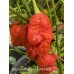 Nagabrains Yellow x Pumpkintail Pepper Seeds Nagabrains Yellow x Pumpkintail Pepper Seeds