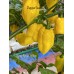 King Naga Yellow Pepper Seeds King Naga Yellow Pepper Seeds