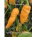 Aji Mango x Jays Ghost Scorpion Peach Pepper Seeds 