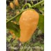 Aji Mango x Jays Ghost Scorpion Peach Pepper Seeds 