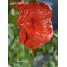 T-Rex Red Pepper Seeds T-Rex Red Pepper Seeds