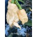 Jays Ghost Scorpion Peach Pepper Seeds