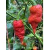 Bhut Jolokia Surprise Pepper Seeds 