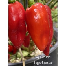 Aji Limo Red Pepper Seeds 