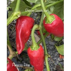 Pimiento Picón Pepper Seeds