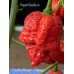 Carolina Reaper x Trinidad Scorpion Moruga Red Pepper Seeds