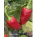 Pimiento Picón Pepper Seeds Pimiento Picón Pepper Seeds