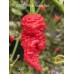 KAOS x Bhut Jolokia Red Pepper Seeds KAOS x Bhut Jolokia Red Pepper Seeds