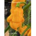 Aji Umba Yellow Pepper Seeds Aji Umba Yellow Pepper Seeds