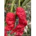 KAOS x Bhut Jolokia Red Pepper Seeds KAOS x Bhut Jolokia Red Pepper Seeds