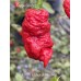 KAOS x Bhut Jolokia Red Pepper Seeds KAOS x Bhut Jolokia Red Pepper Seeds
