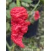 KAOS x Bhut Jolokia Red Pepper Seeds KAOS x Bhut Jolokia Red Pepper Seeds