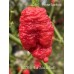 KAOS x Bhut Jolokia Red Pepper Seeds KAOS x Bhut Jolokia Red Pepper Seeds