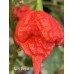 NAR Pepper Seeds