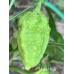 Mustard Naga Pepper Seeds 