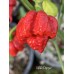 NAR Pepper Seeds