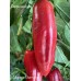 Jalapeño Chernobyl Pepper Seeds 