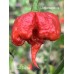 NAR Pepper Seeds