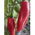 Jalapeño Chernobyl Pepper Seeds 