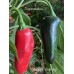 Jalapeño Chernobyl Pepper Seeds 