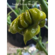 Trinidad Scorpion Moruga Green Pepper Seeds 