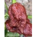 Moruglah Chocolate Pepper Seeds 