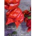 Purple Death Pepper Seeds 