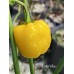 Aji Jobita Yellow Pepper Seeds 