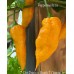 7-Pot Primo x Butch T Orange Pepper Seeds 