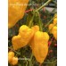Bhut Jolokia Assam Yellow x 7-Pot Yellow Pepper Seeds 