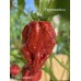 7-Pot Caramel Pepper Seeds 