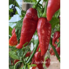 Jays Ghost Cayenne Pepper Seeds 