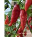 Jays Ghost Cayenne Pepper Seeds 