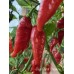 Jays Ghost Cayenne Pepper Seeds 