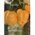 Reaper Sbagliato Orange Pepper Seeds 