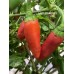 Chile de Comida Pepper Seeds 