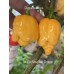 Reaper Sbagliato Orange Pepper Seeds 