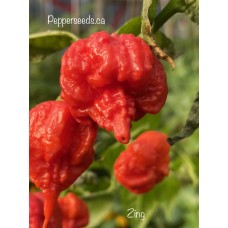 7-Pot Zing Pepper Seeds 