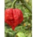 7-Pot Zing Pepper Seeds 