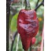 Mojo Black Pepper Seeds 
