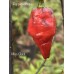Mojo Black Pepper Seeds 