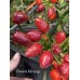 Pimenta Moranga Pepper Seeds Pimenta Moranga Pepper Seeds