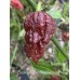 Carolina Reaper Chocolate Long Pepper Seeds 