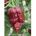 Carolina Reaper Chocolate Long Pepper Seeds 