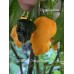 APS Dark Orange Ghost Pepper Seeds 