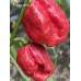 7-Pot Lucky Pepper Seeds 