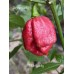 7-Pot Lucky Pepper Seeds 