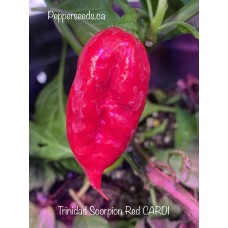 Trinidad Scorpion Red CARDI Pepper Seeds Trinidad Scorpion Red CARDI Pepper Seeds
