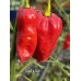 Devil’s Rib Pepper Seeds