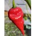 Devil’s Rib Pepper Seeds